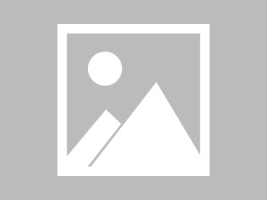 我承认我搜过“hlw黑料网”，但最后我只做了这件事：我选择截图留证