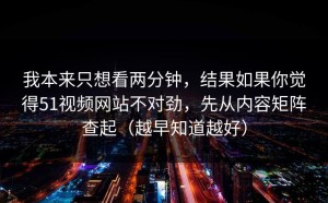 我本来只想看两分钟，结果如果你觉得51视频网站不对劲，先从内容矩阵查起（越早知道越好）