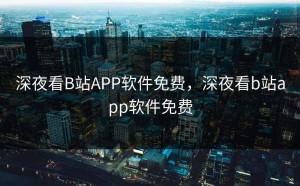 深夜看B站APP软件免费，深夜看b站app软件免费