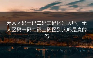 无人区码一码二码三码区别大吗，无人区码一码二码三码区别大吗是真的吗