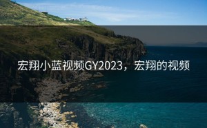 宏翔小蓝视频GY2023，宏翔的视频