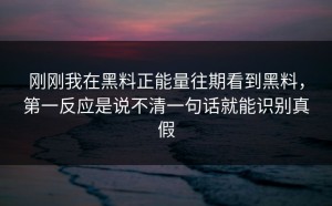 刚刚我在黑料正能量往期看到黑料，第一反应是说不清一句话就能识别真假