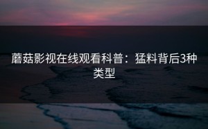 蘑菇影视在线观看科普：猛料背后3种类型