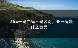 亚洲码一码二码三码区别，亚洲码是什么意思