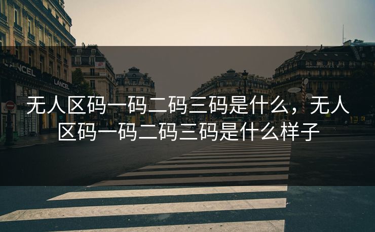 无人区码一码二码三码是什么，无人区码一码二码三码是什么样子